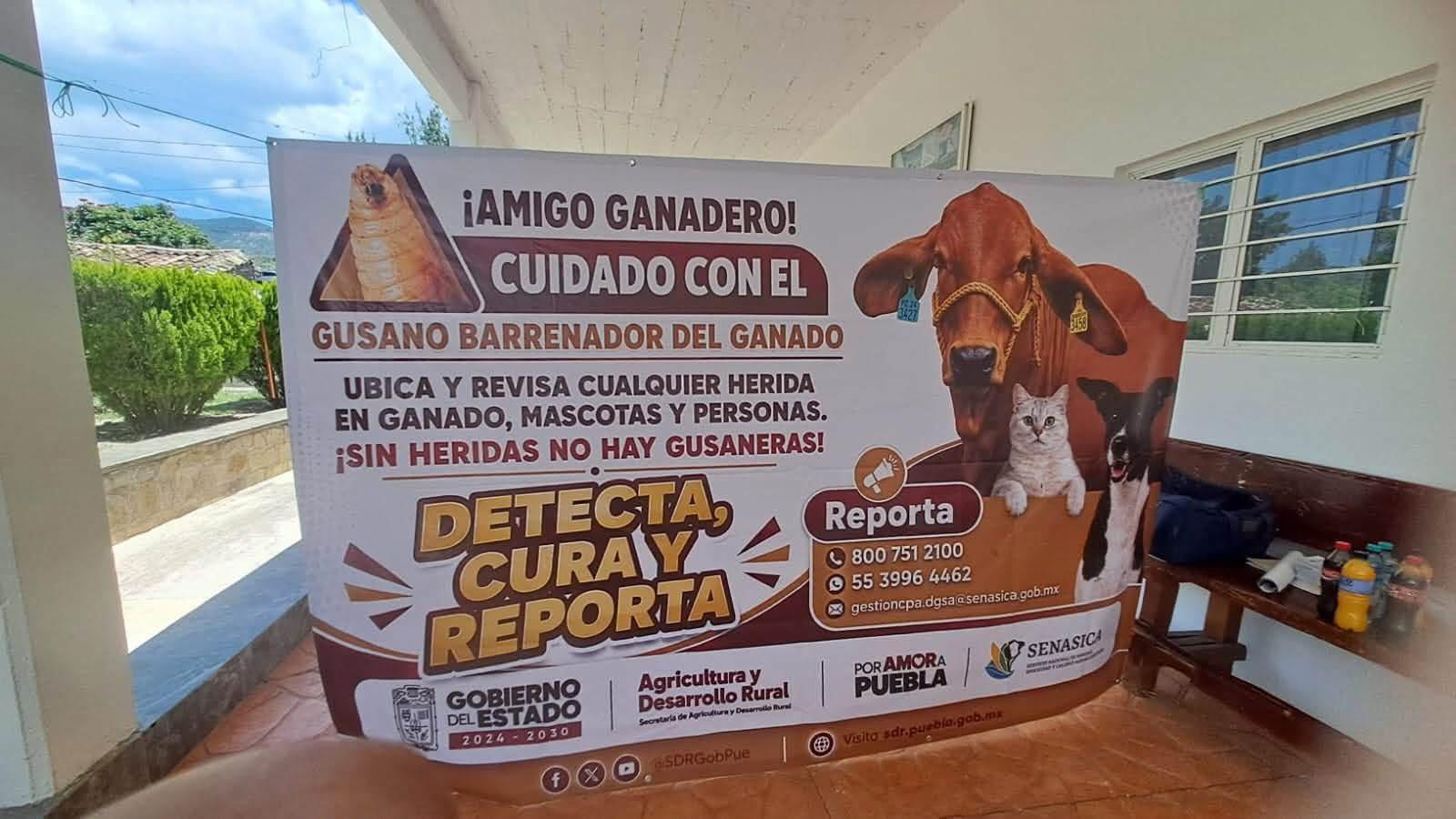 Reunión de información para los Amigos Ganaderos.